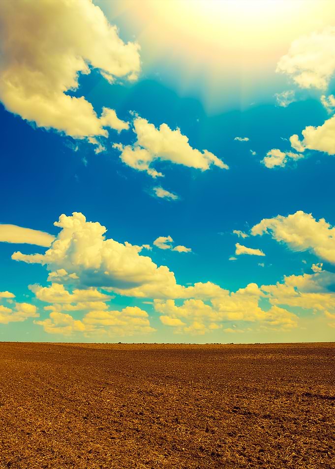 Arable Field With Cloudy S