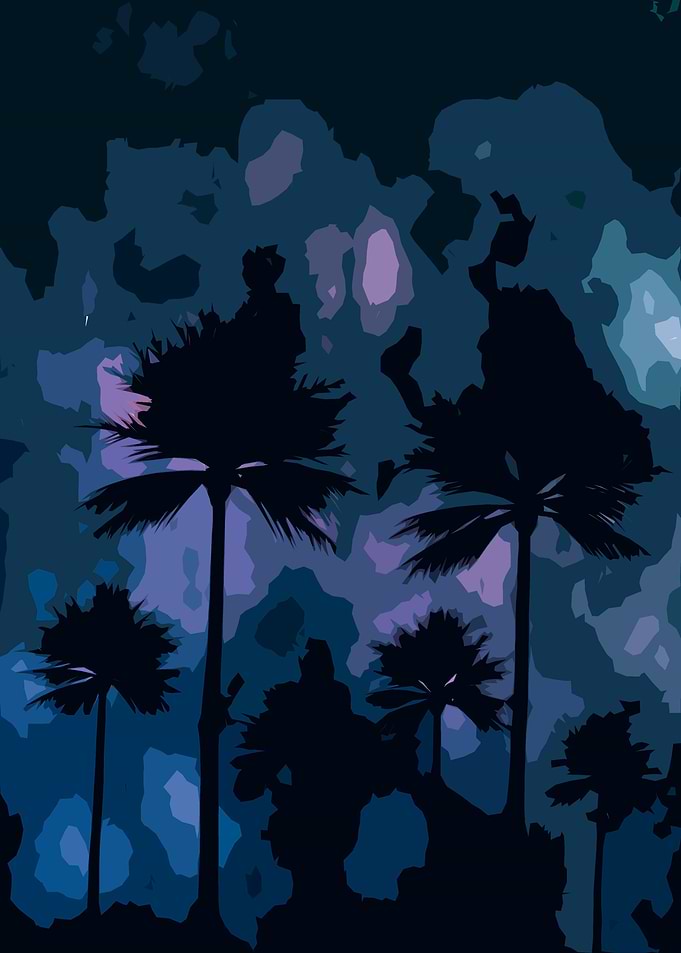 palm galaxy angels