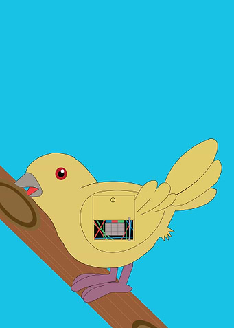 robotic bird