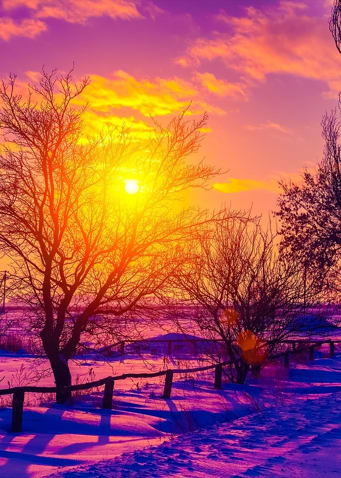Winter Rural Landscape At