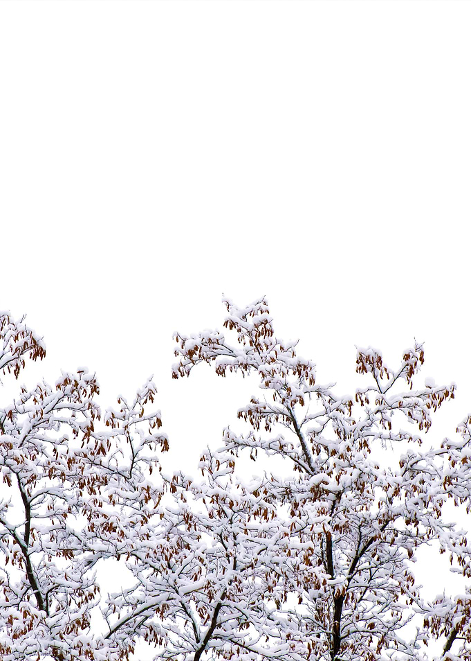 Stunning Backgrounds