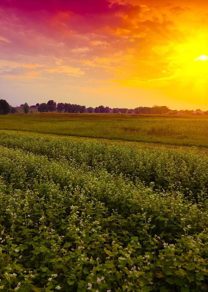 Sunset Over Countryside Wi