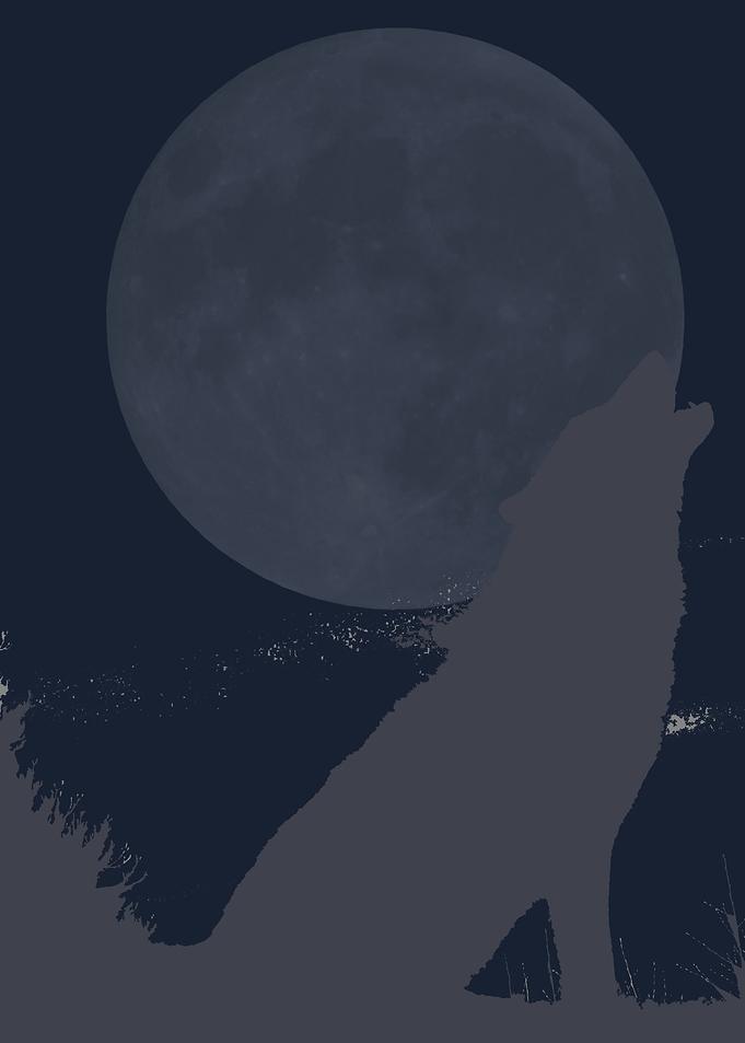 Howling Wolf