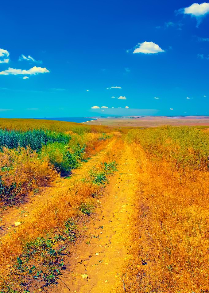 Rural Road To The Sea Coas