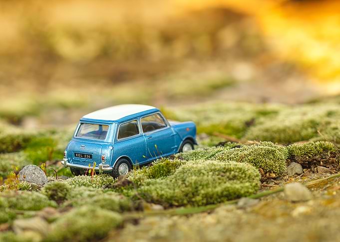 Vintage toy car in moss