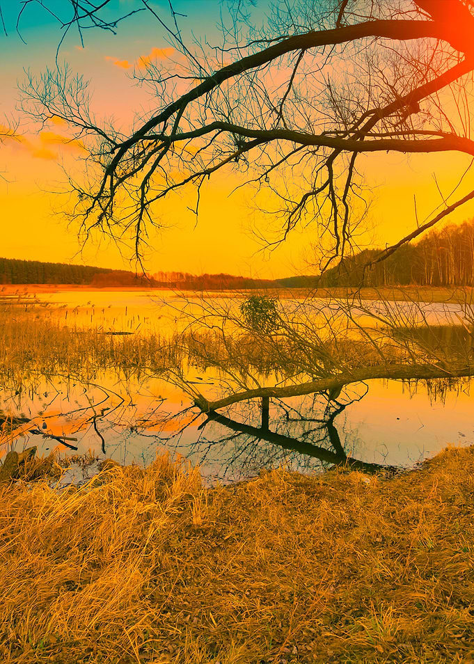 Misty Autumn Landscape At