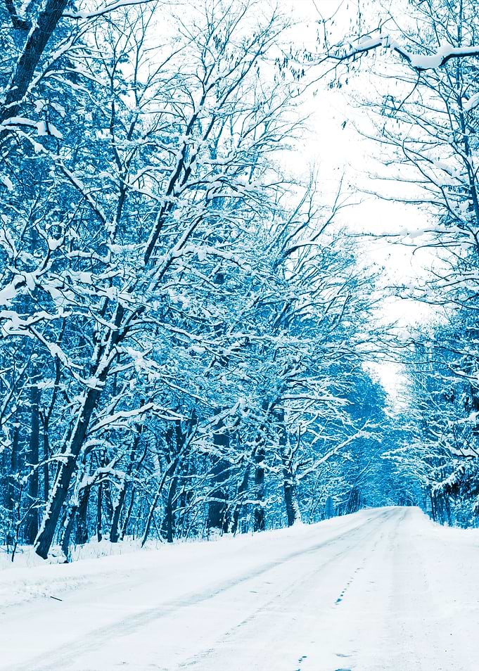 The Road In The Winter For