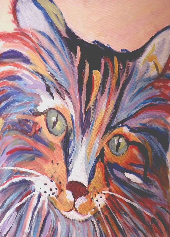 purple and blue cat