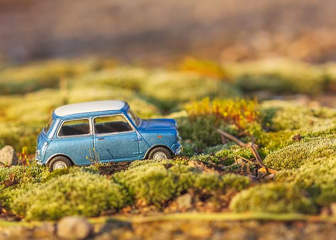 Vintage toy car in moss