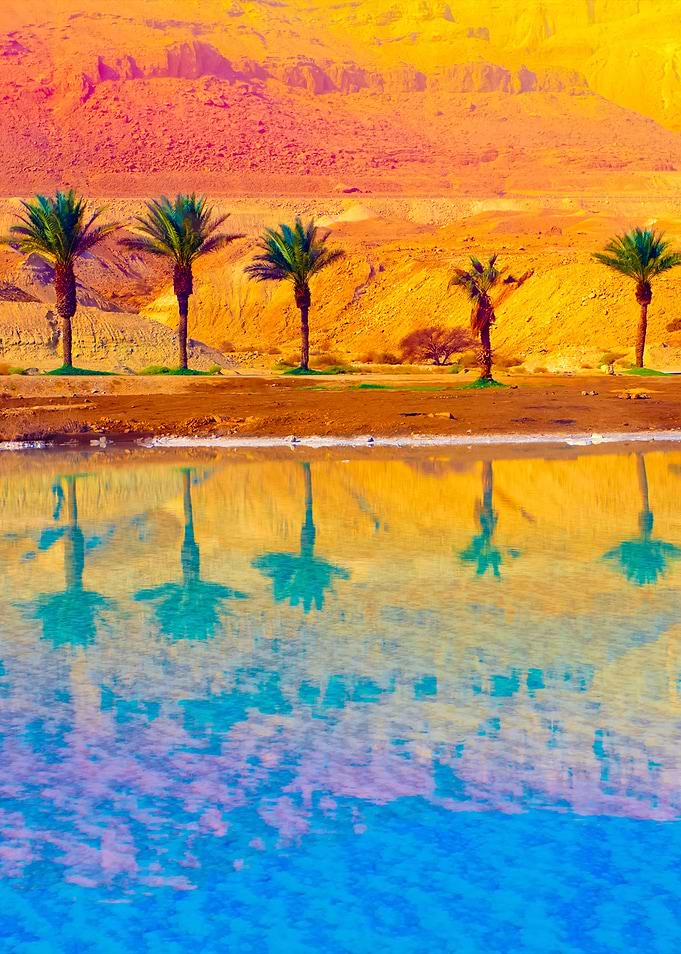 Dead Sea Shore Israel