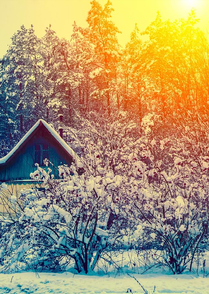 Snowy Winter Rural Landsca