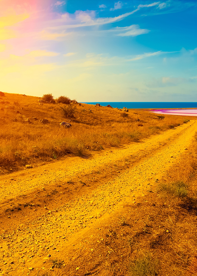 The Dirt Road To Pink Lake