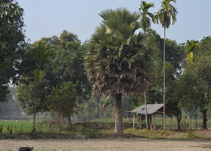 village short