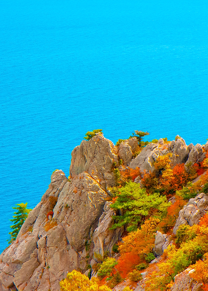View Of The Sea Coast From