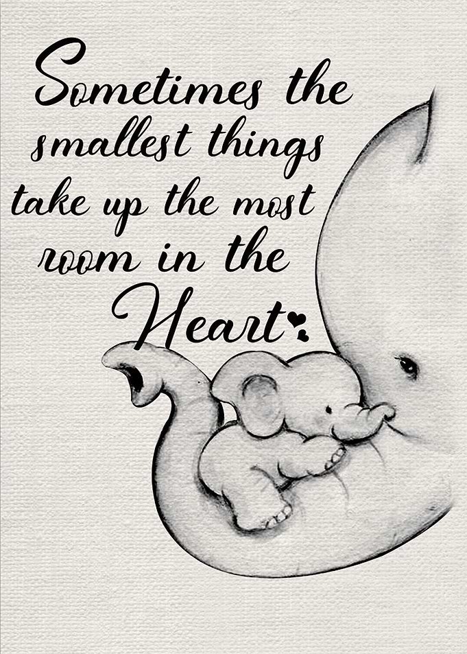 Elephant Family