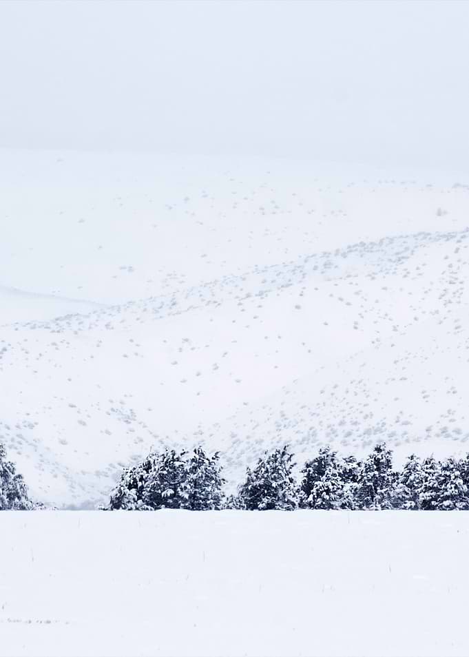 Winter Mountain