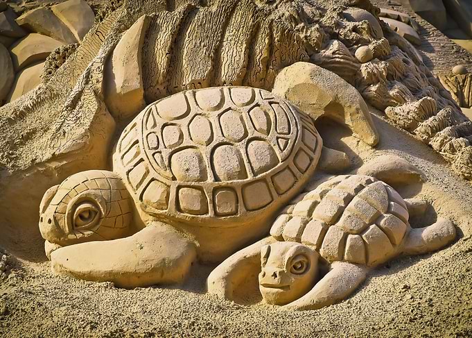 tortugas