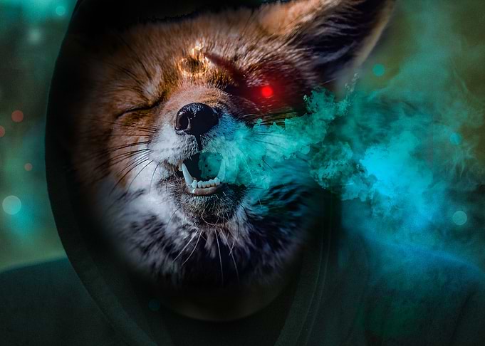 SmokyFox