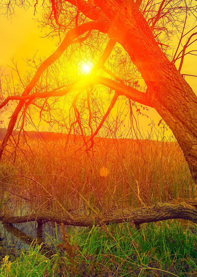 Misty Autumn Landscape At