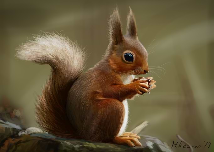 Squirrel
