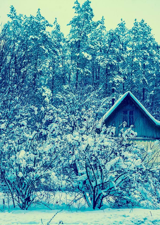 Snowy Winter Rural Landsca