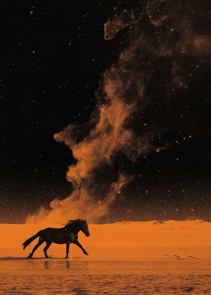 The Mustang from Mars