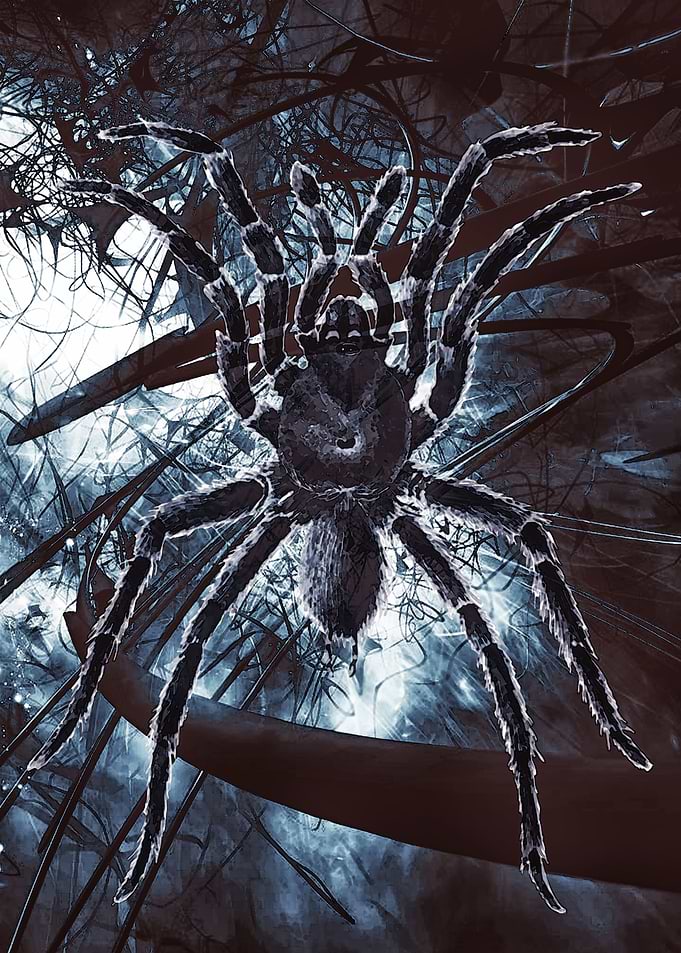 Fear