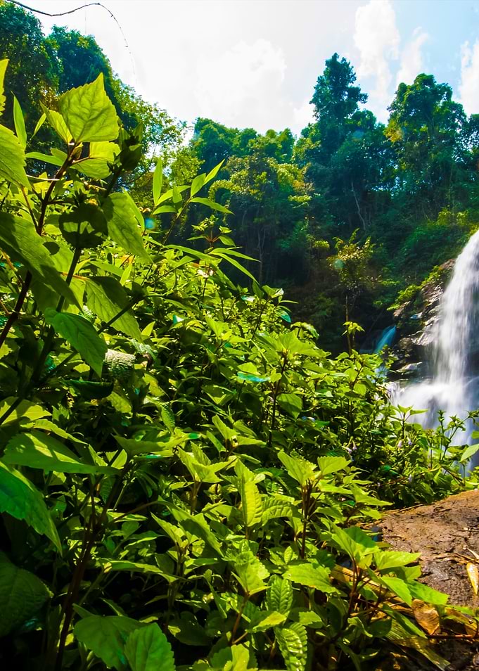 Water Fall In Spring Seaso