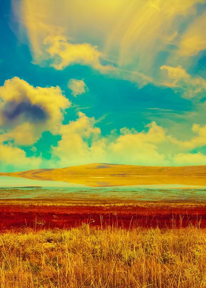 Landscape With Beautiful C