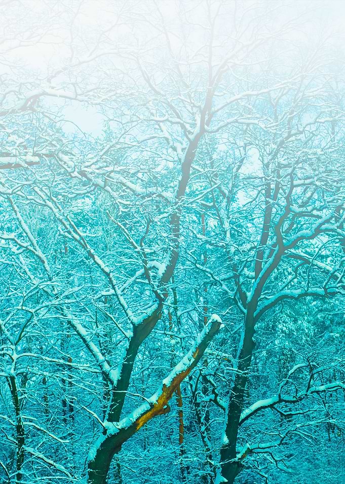 Blue Vintage Faded Foggy S