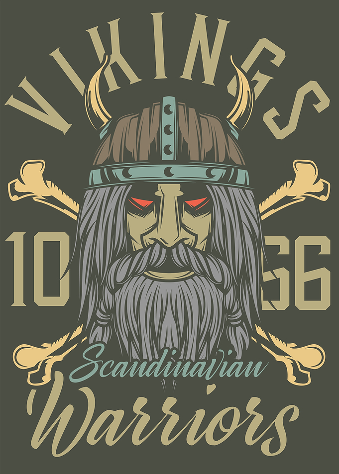 Viking Warriors