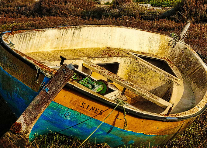 The Boat