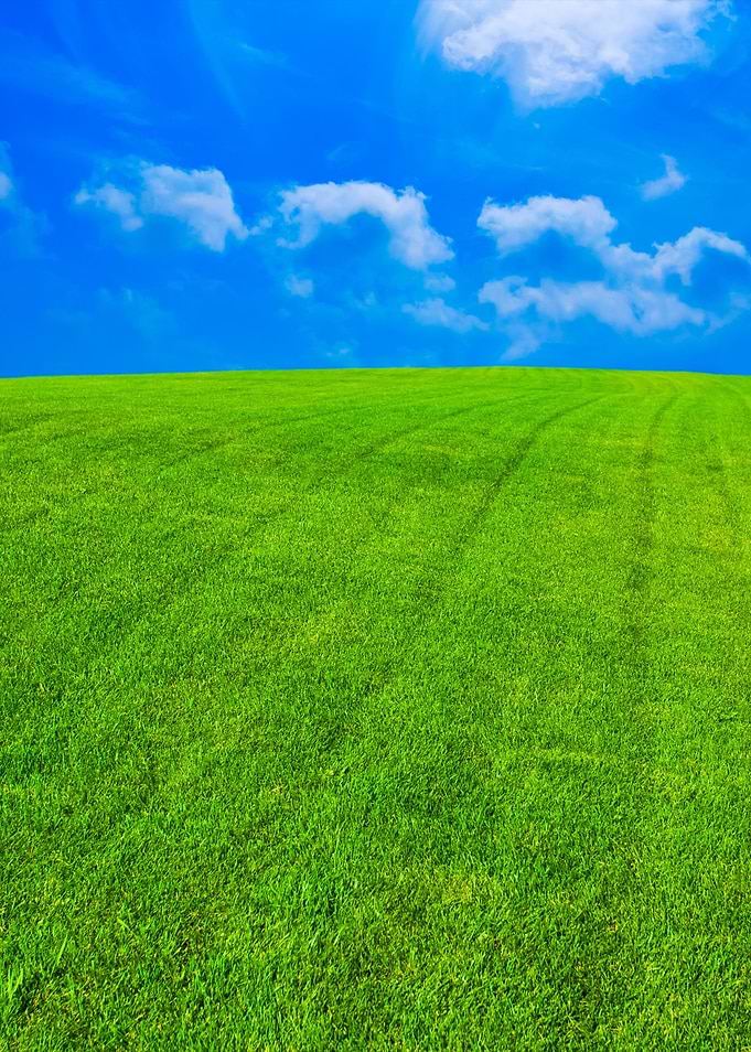 Green Lawn With Blue Sky