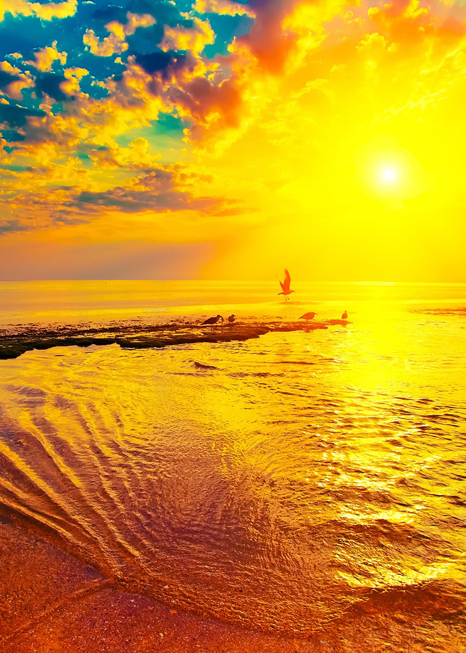 Deserted Beach At Sunrise