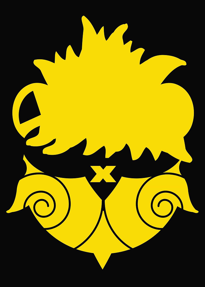 Cool Lion