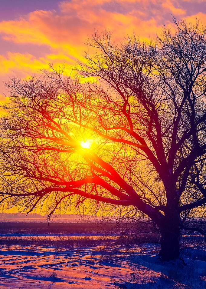 Winter Rural Landscape At
