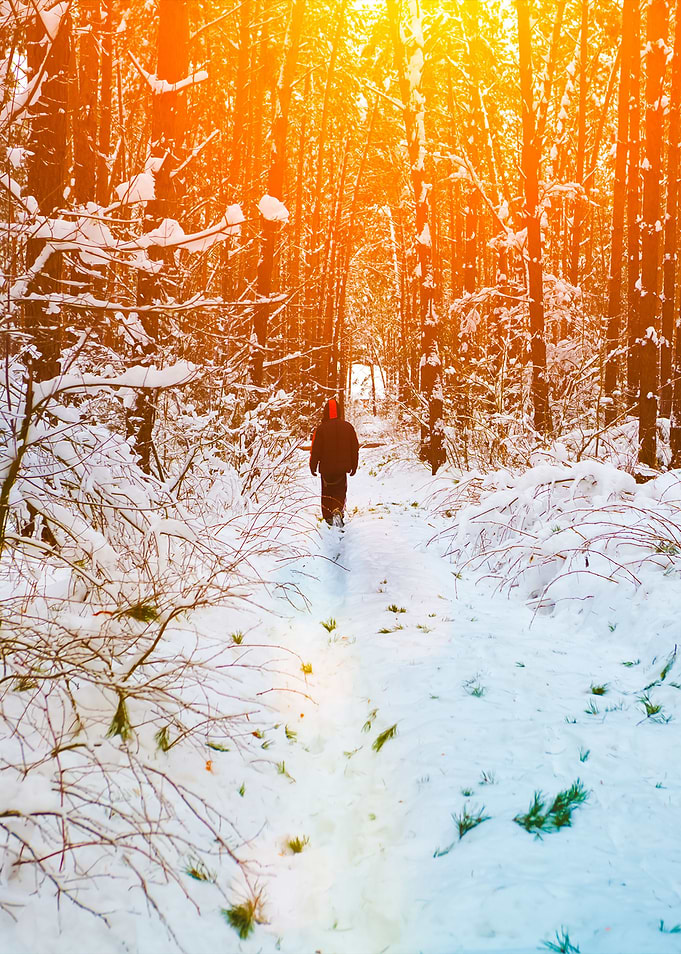 Man Walking In Snowy Fores
