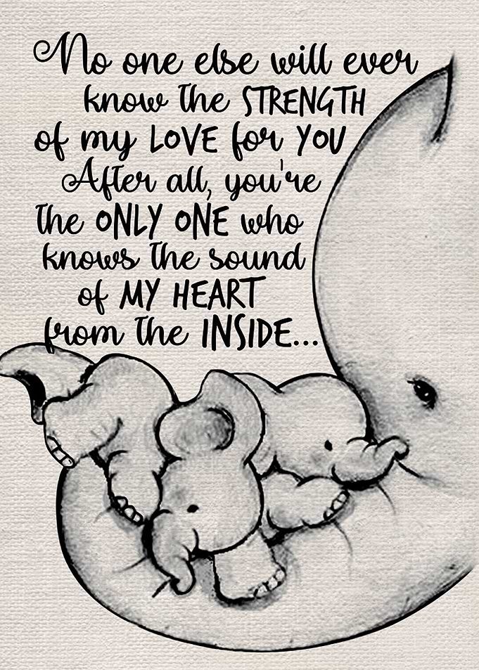 Elephant Family