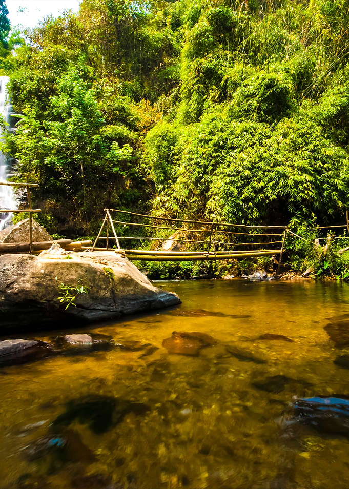 Water Fall In Spring Seaso
