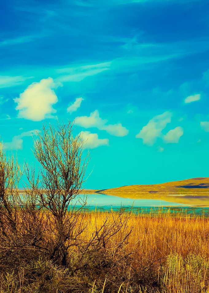 Beautiful Desert Landscape