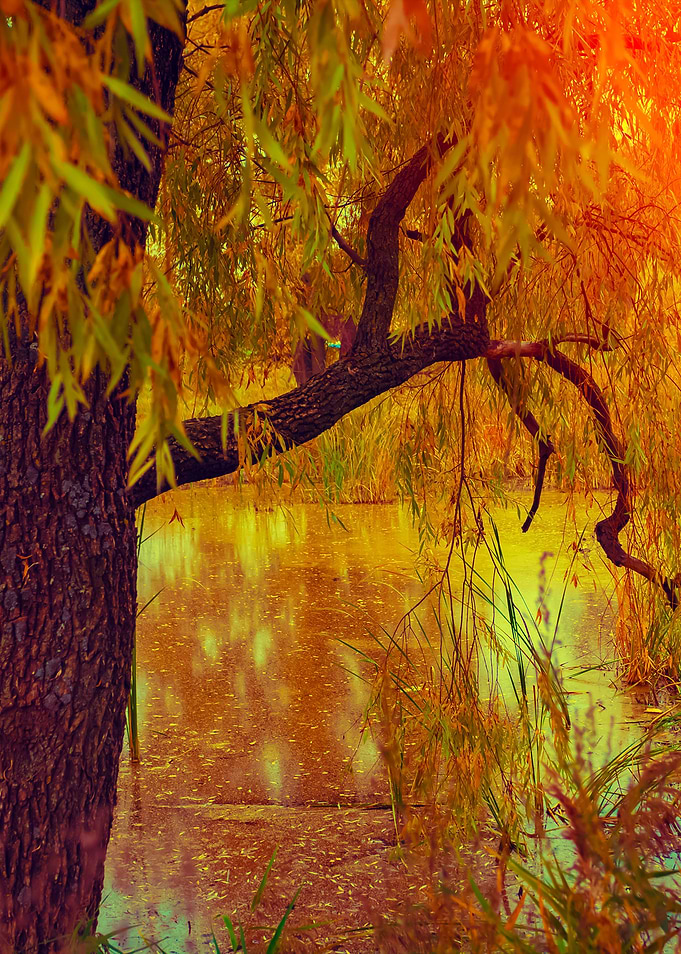 Misty Autumn Landscape At