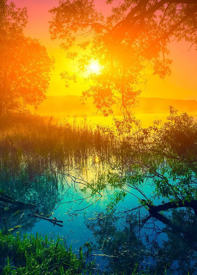 Rural Landscape Misty Morn