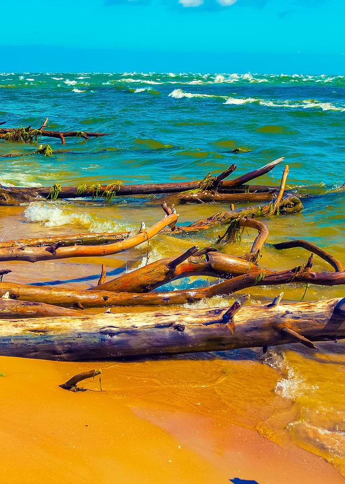 Wild Desert Beach With Fal