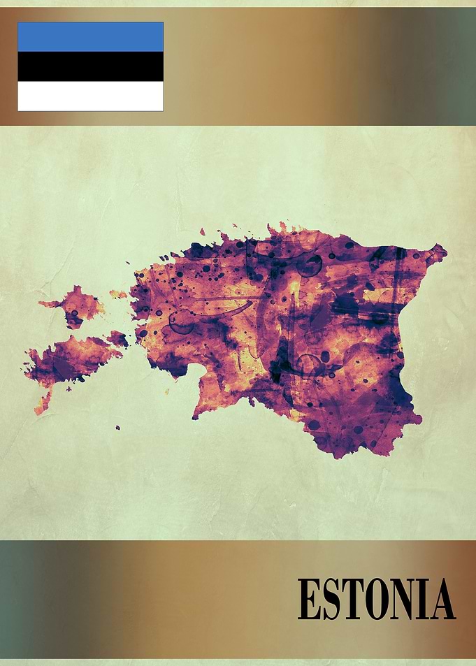 Estonia Map with Flag