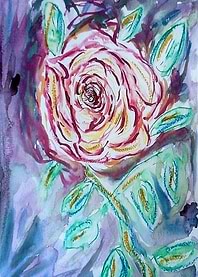 Rose aquarelle