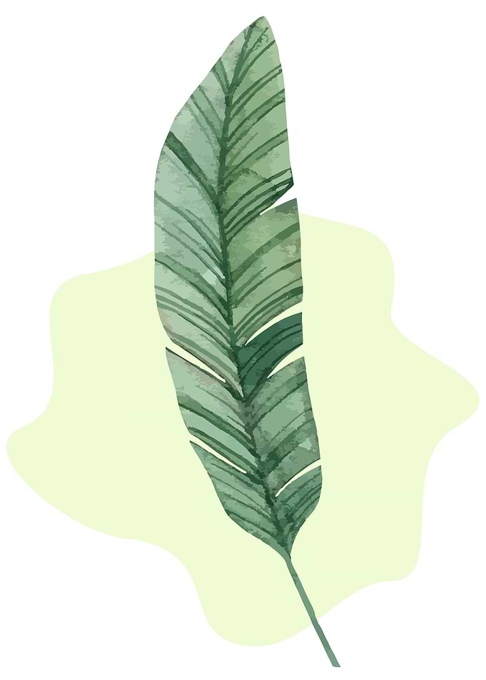Banana Leaf