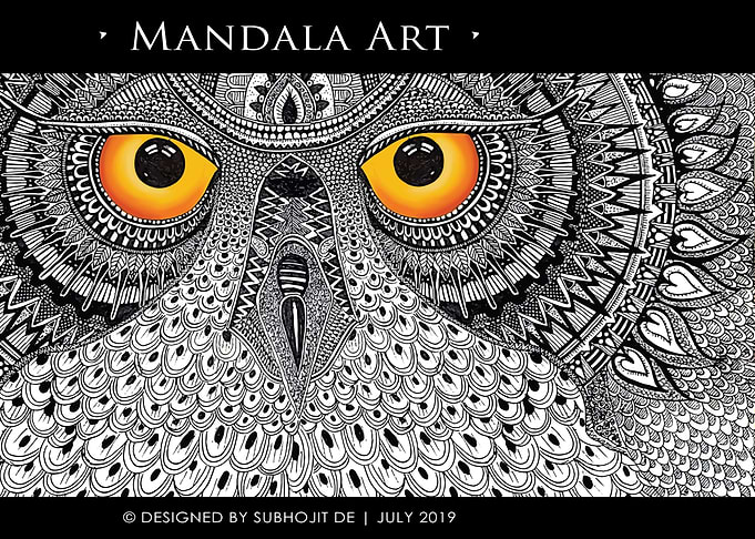 An Owl