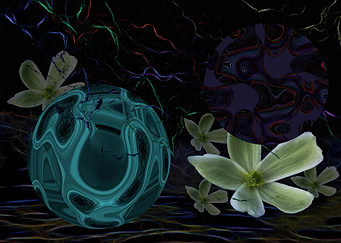 I Dreamt of Space Flowers