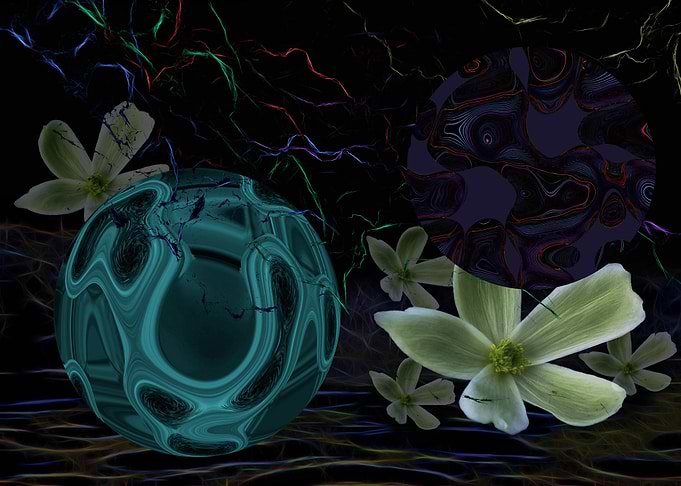 I Dreamt of Space Flowers