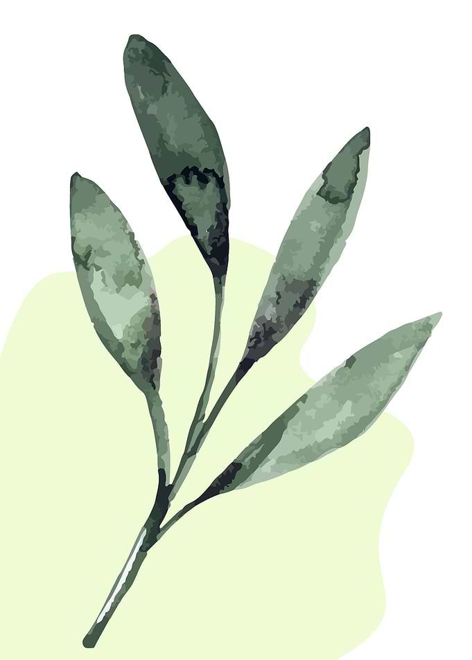 Tropical Leaf
